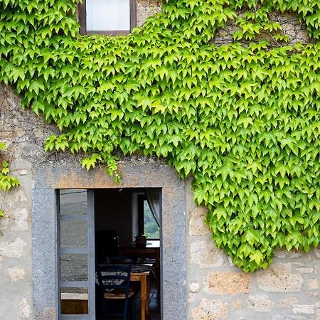 Acqua Di Civita Beauty & Rooms In Mercatello Bagnoregio Exteriör bild
